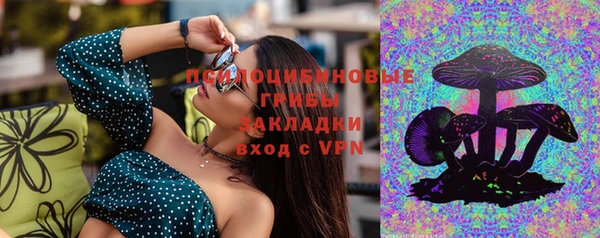 меф Горняк