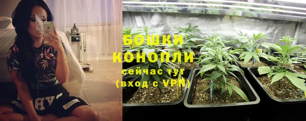 меф Горняк