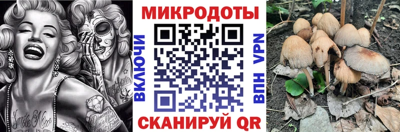 купить Муром Псилоцибиновые грибы Magic Shrooms