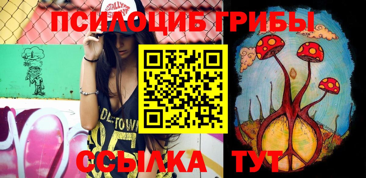 Галлюциногенные грибы Psilocybe  Вход с VPN  Муром 